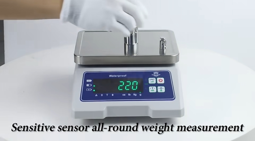 Waterproof wash down scale